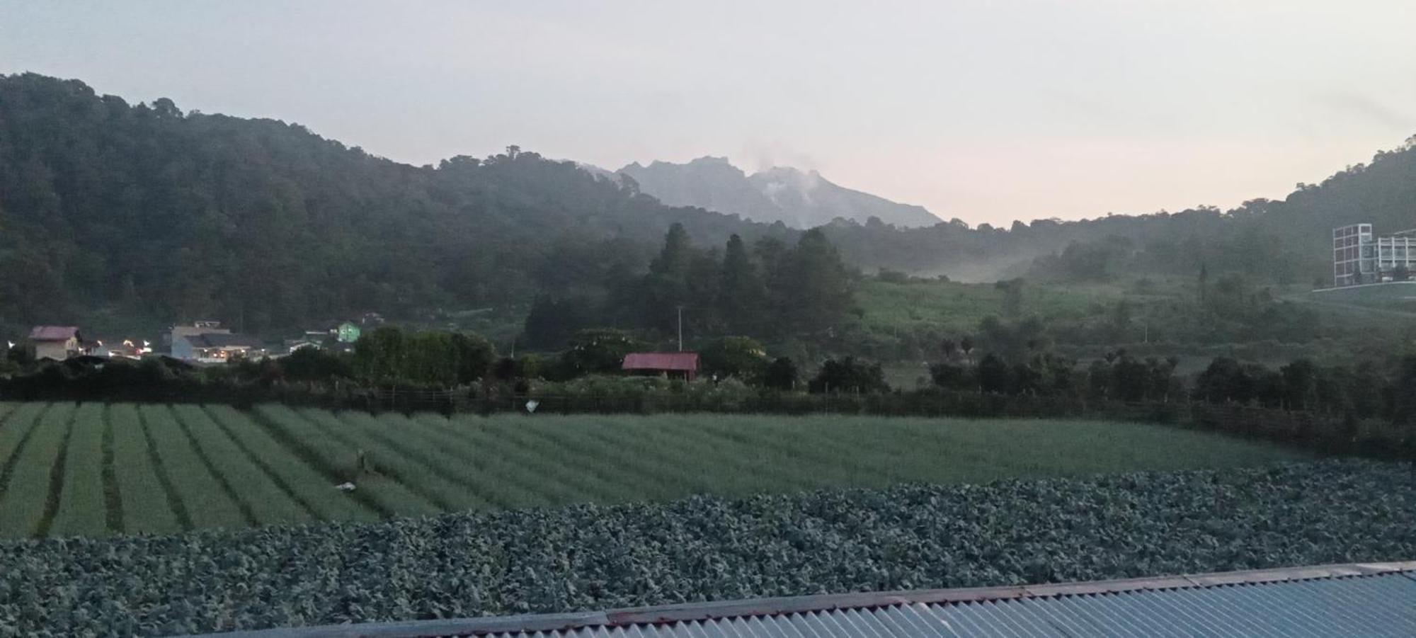 Bungalow Karo Hill بيراستاغي المظهر الخارجي الصورة